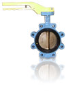 Butterfly Valve